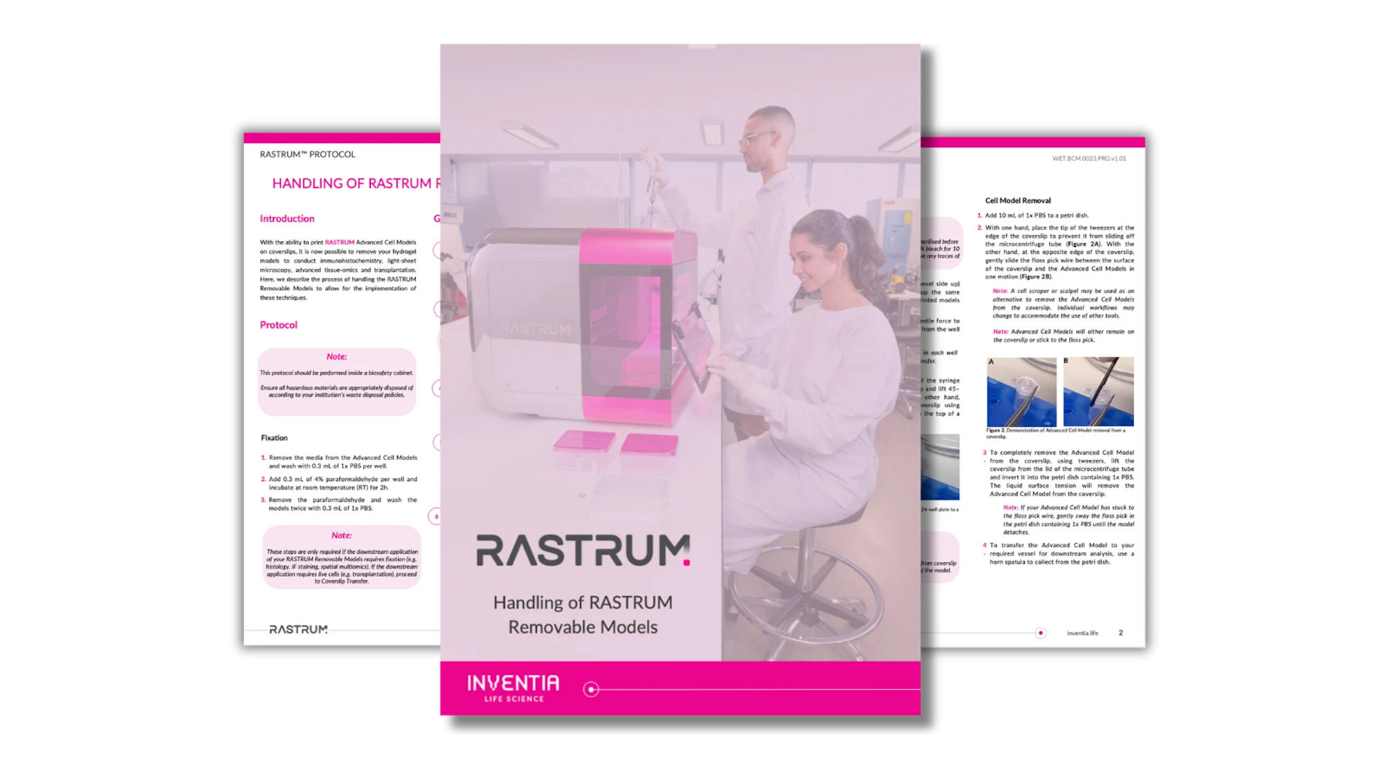 Handling RASTRUM™ Removable Models