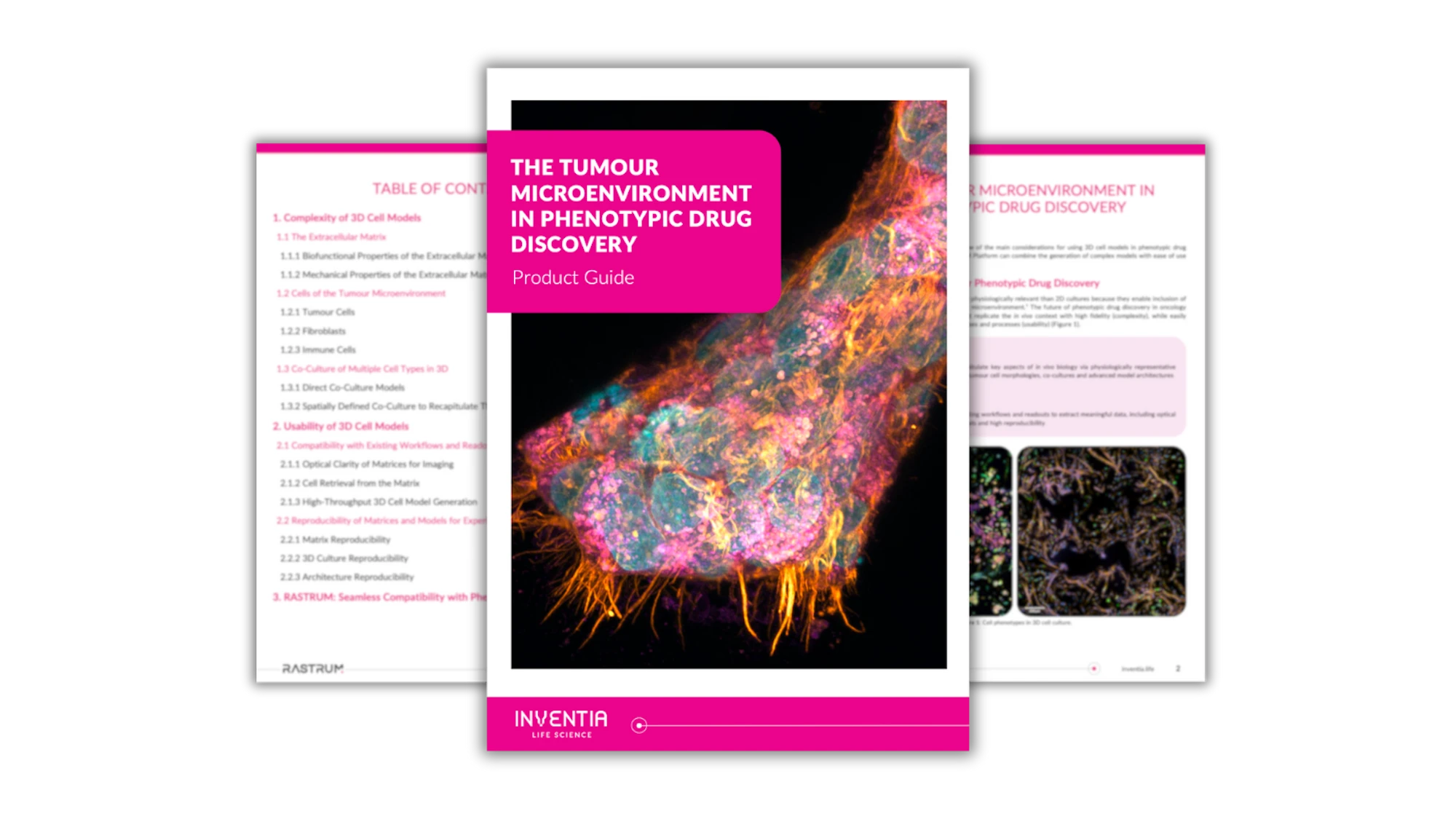 The tumour microenvironment in phenotypic drug discovery