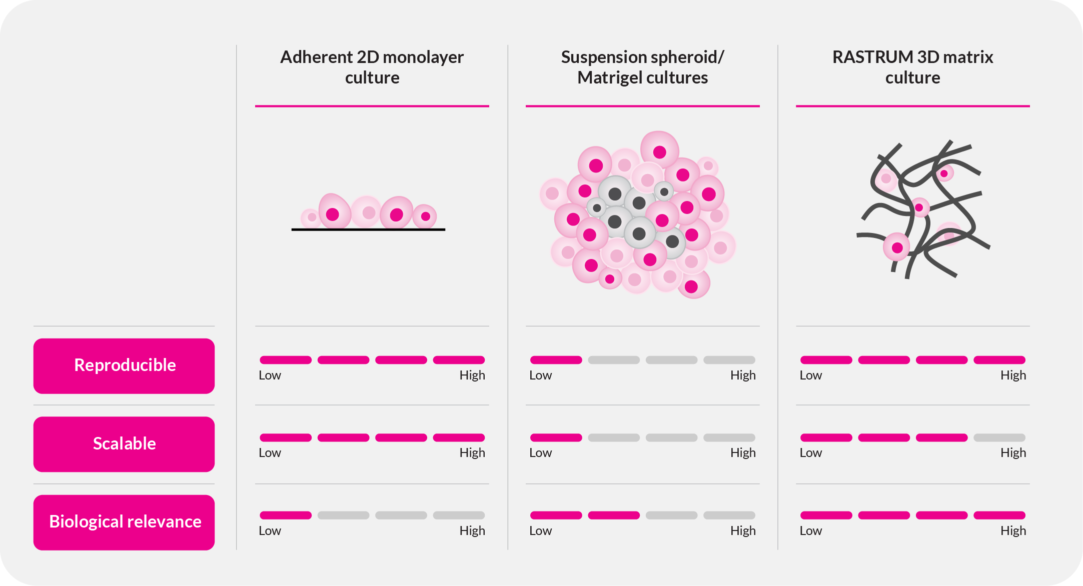 2D_3D_Cell_Model_Comparison