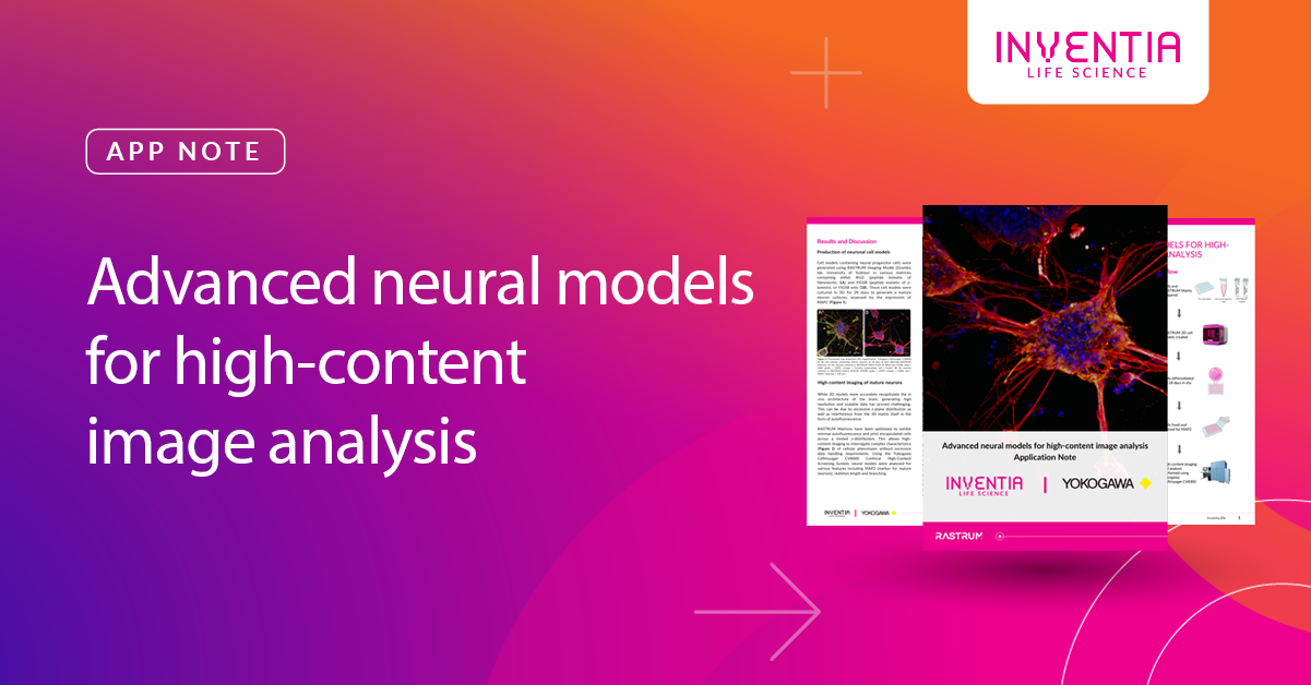 Advanced neural models for high-content image analysis