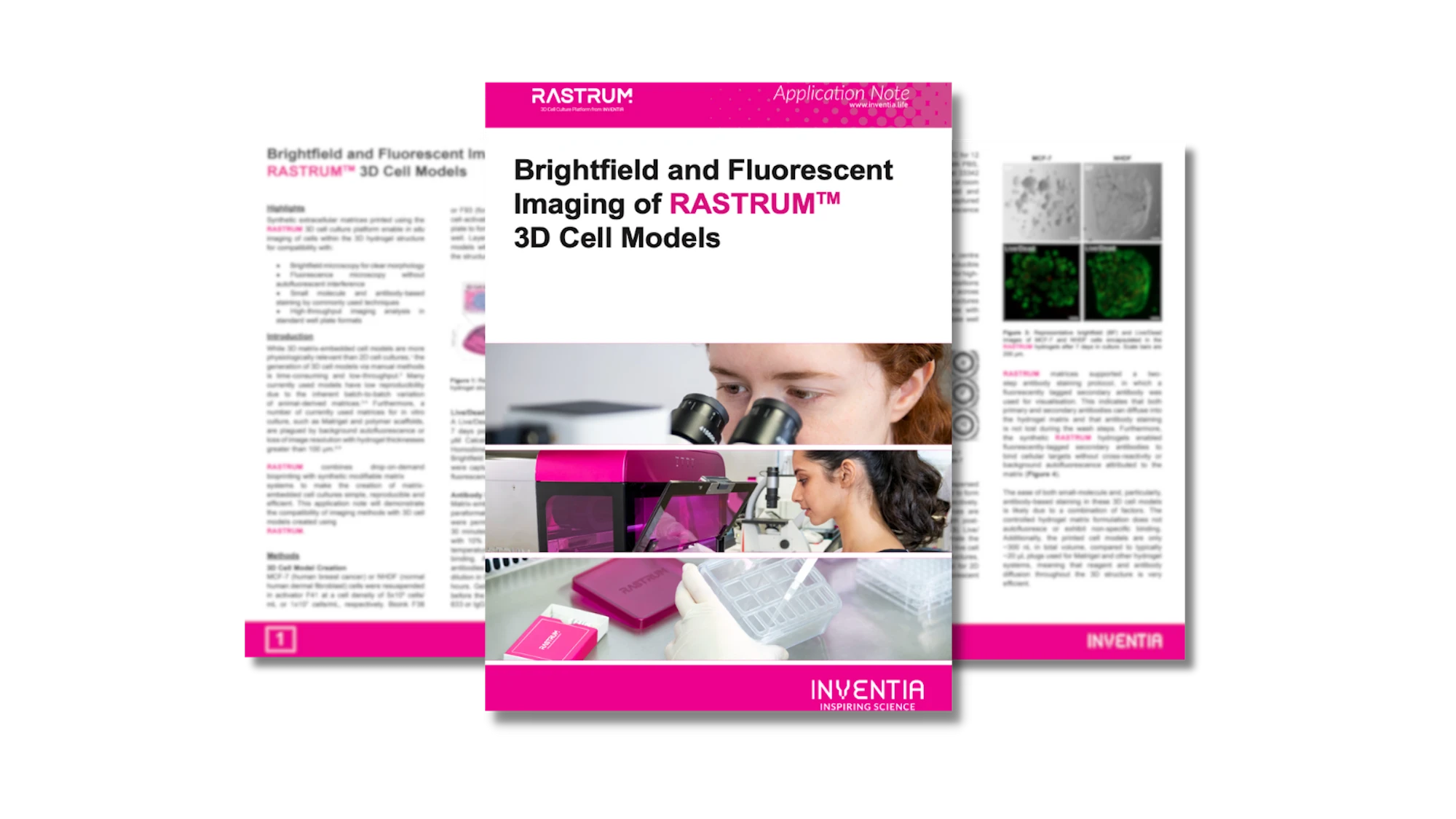 Brightfield and fluorescent imaging of RASTRUM™ 3D cell models