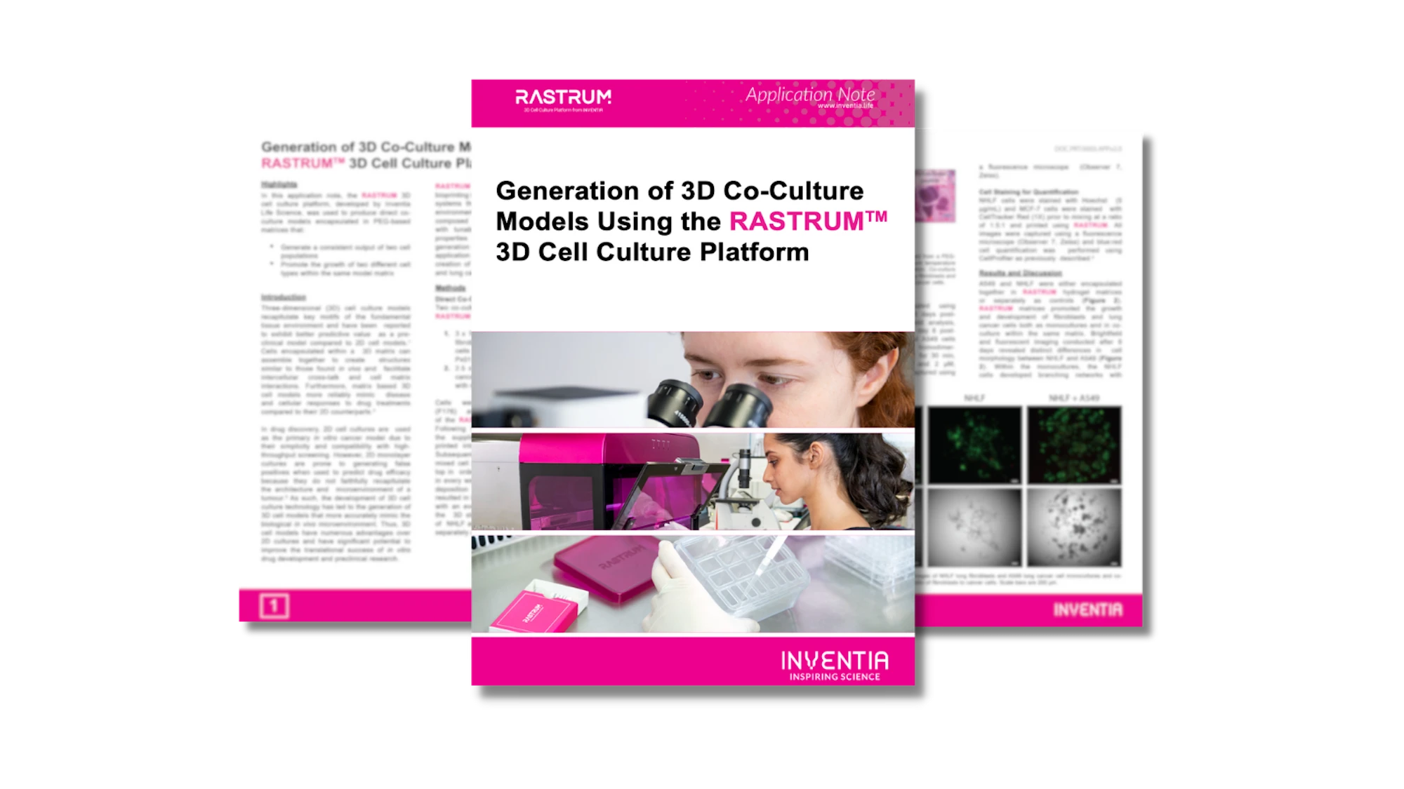 Generation of 3D co-culture models using the RASTRUM™ 3D cell culture platform