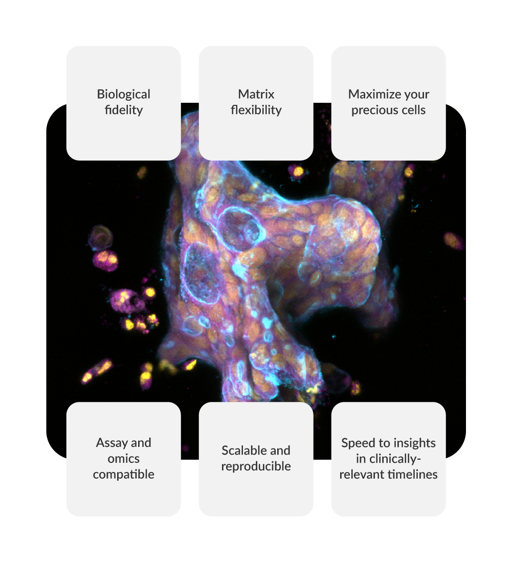 OncoPro tumoroids