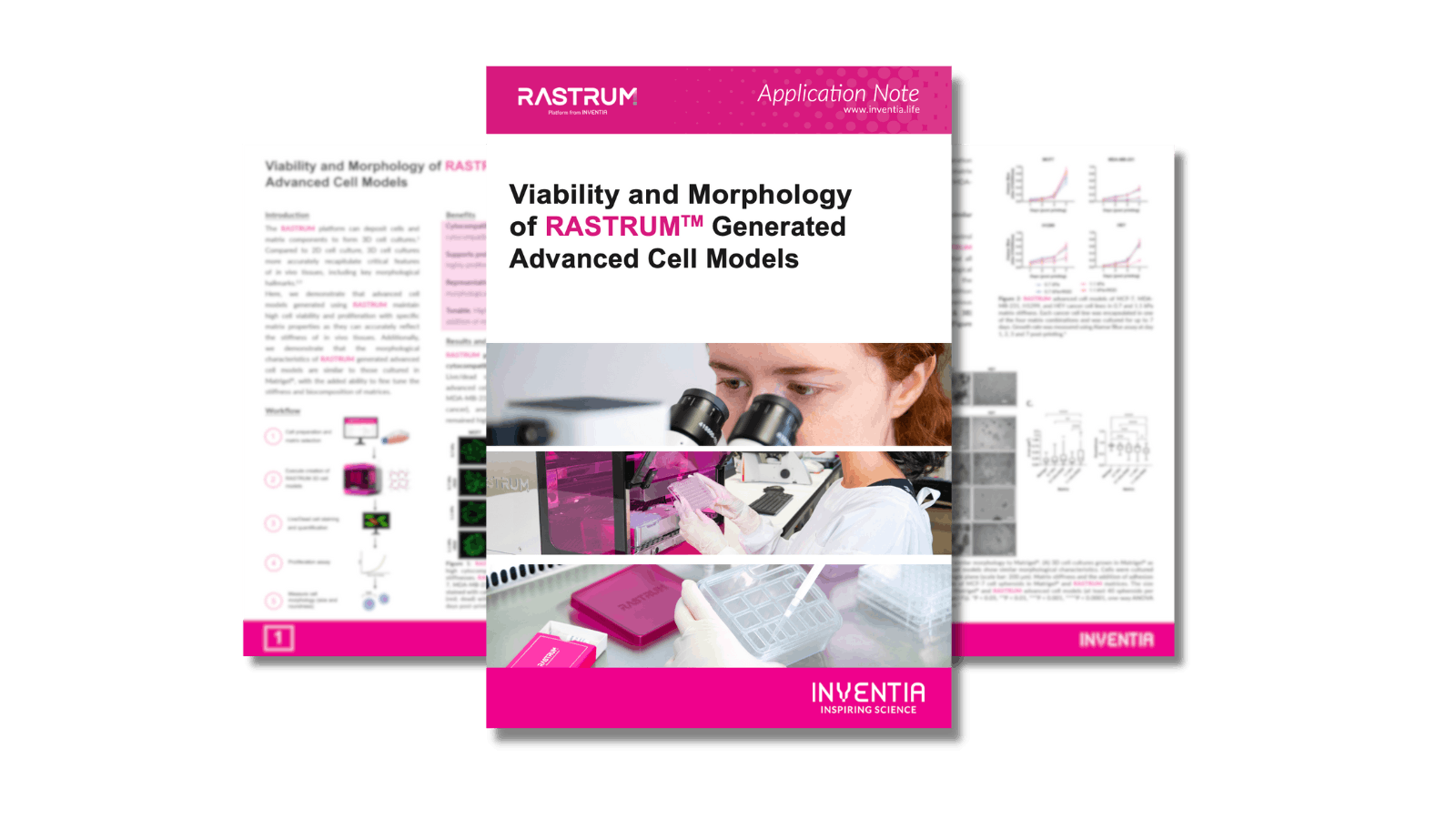 Viability and Morphology of RASTRUM™ Generated Advanced Cell Models