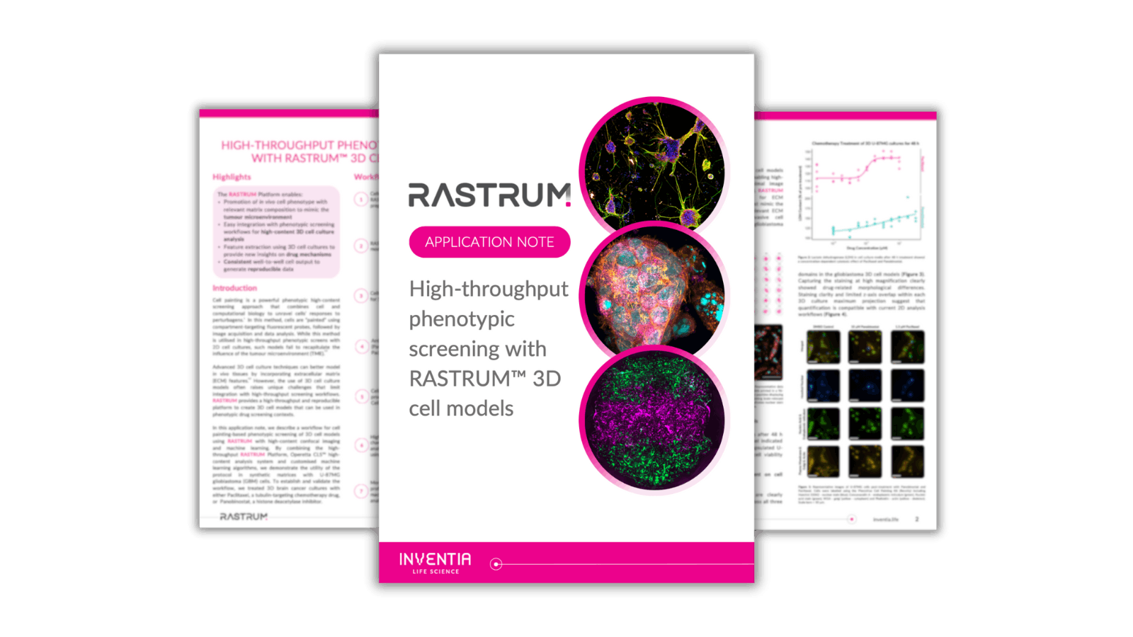 High-throughput phenotypic screening with RASTRUM™ 3D cell models