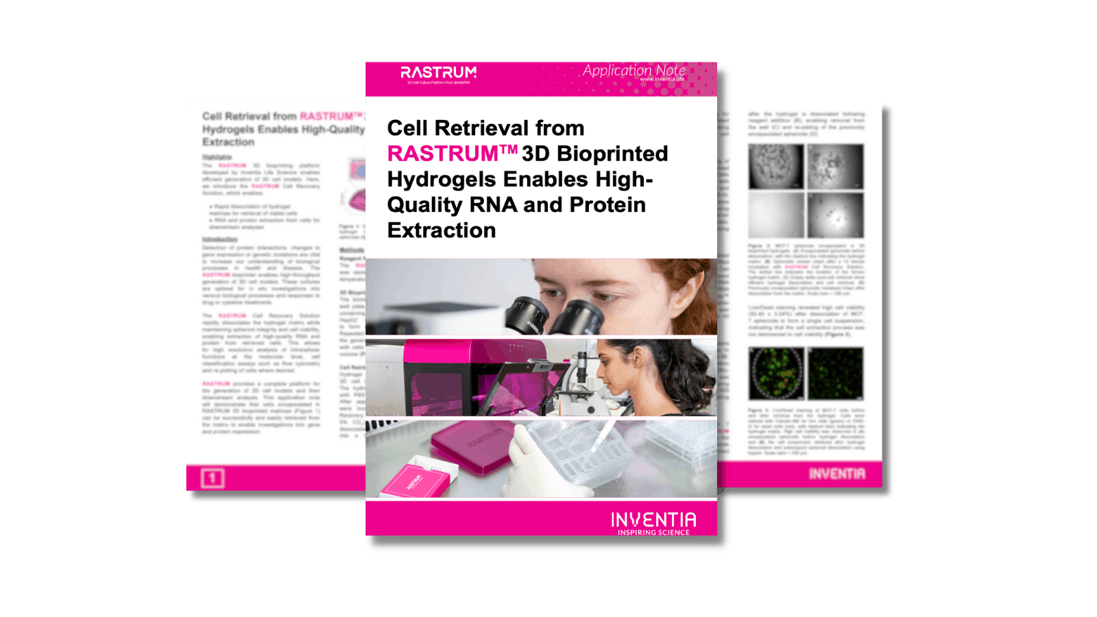 Cell retrieval from RASTRUM™ 3D bioprinted hydrogels enables high quality RNA and protein extraction