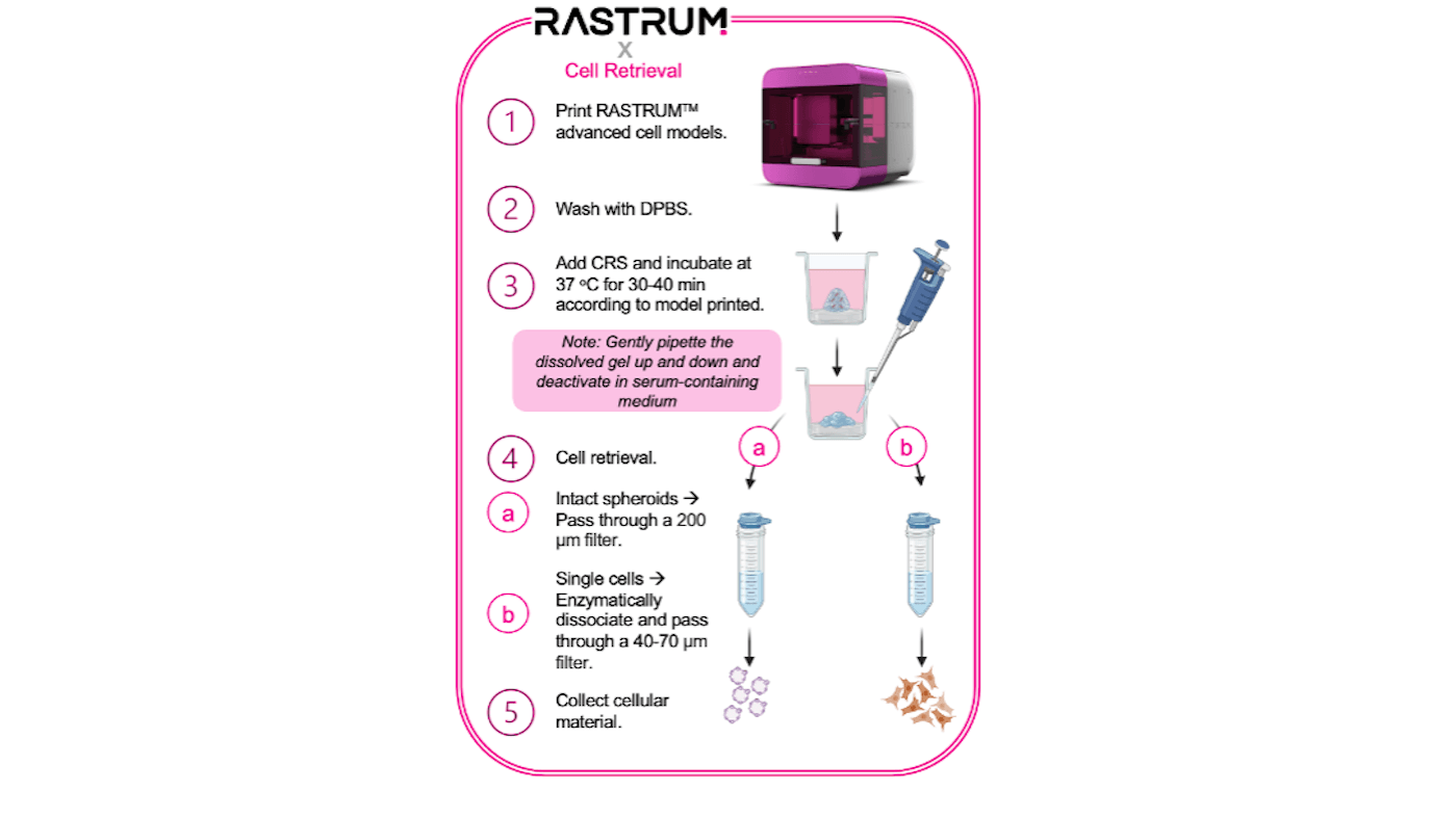 Graphical protocol for cell retrieval of RASTRUM advanced cell models