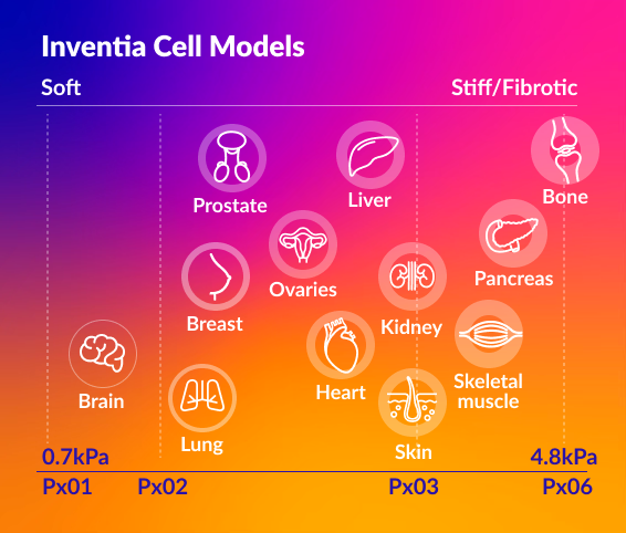 Cell models Med tile Cnr radius 30