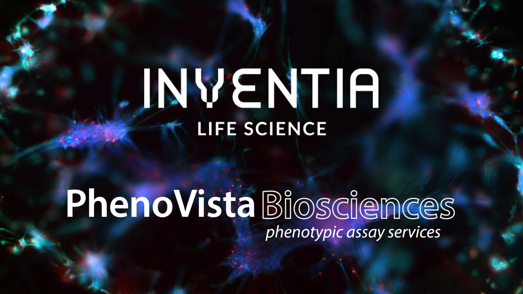Inventia Life Science Announces Partnership with PhenoVista Biosciences to Accelerate Preclinical Research with 3D Cell Models