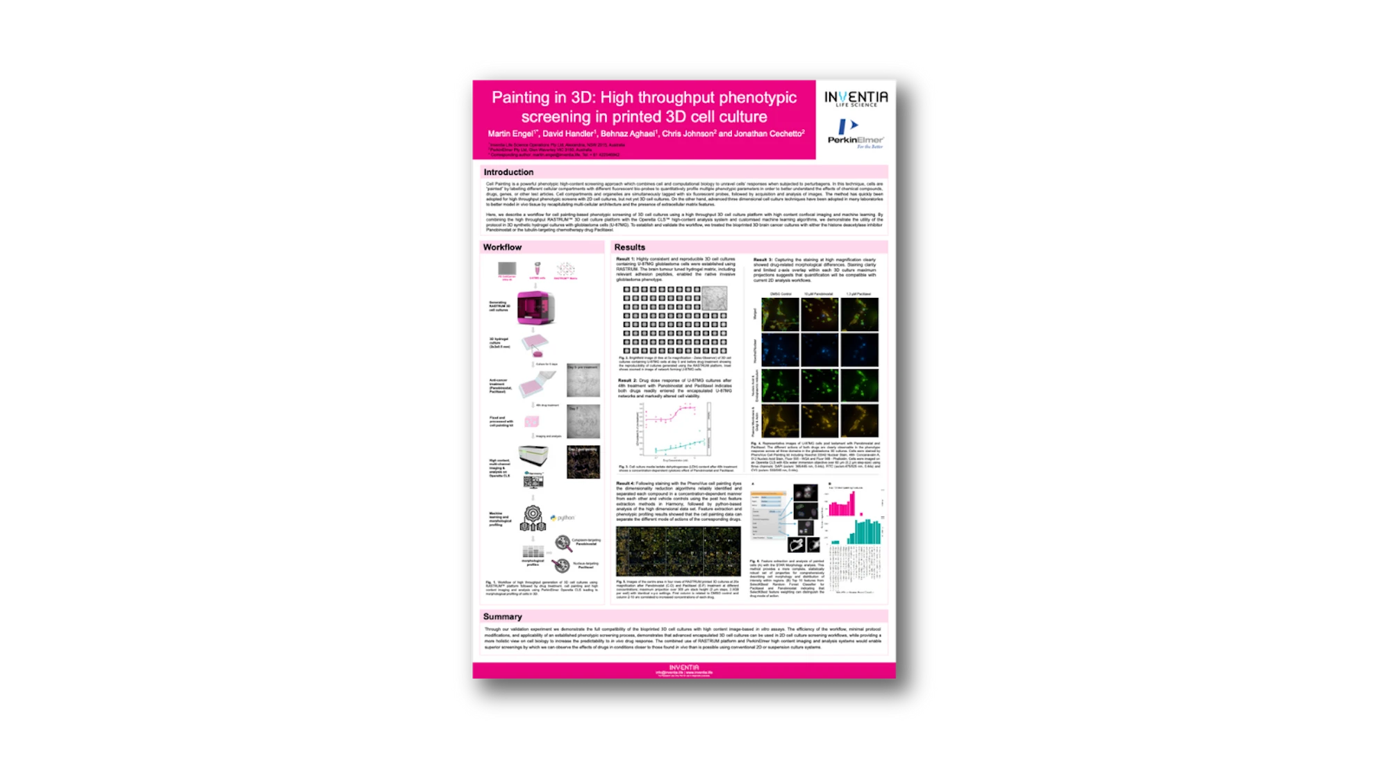 Painting in 3D: High throughput phenotypic screening in printed 3D cell culture