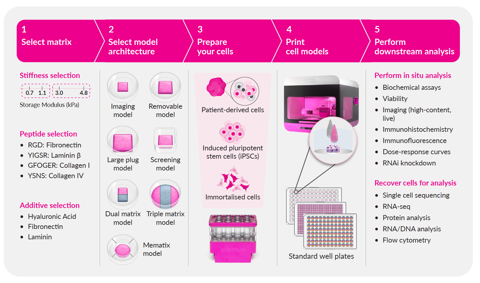 RASTRUM Allegro Workflow