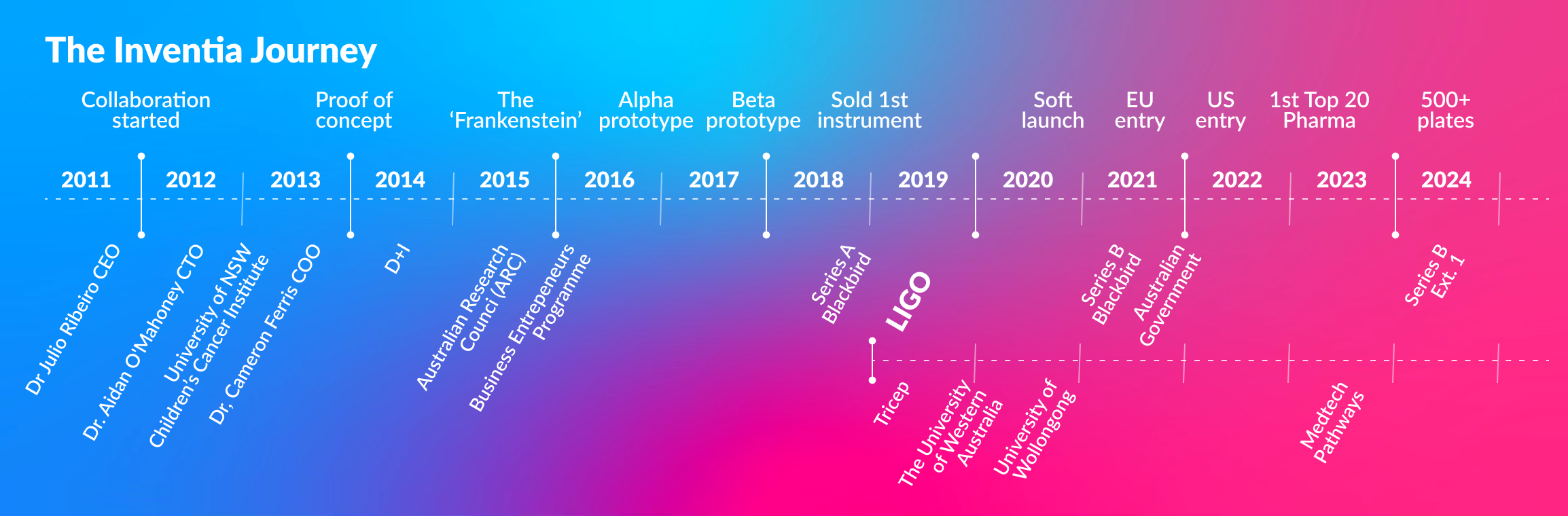 Timeline Infographic