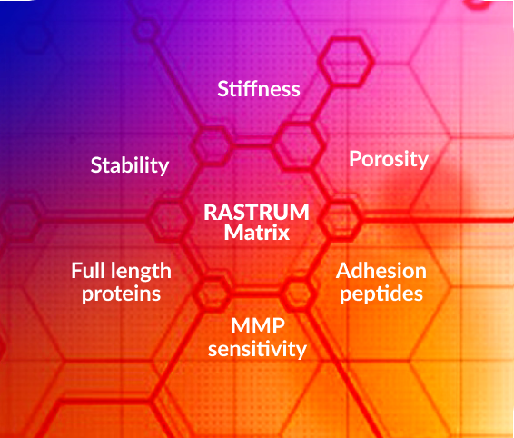 https://inventia.life/hubfs/WebAssets-Diagrams/Matrices%20diagram%20Cnr%20radius%2030.png